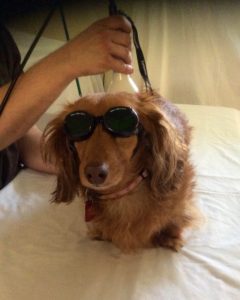 Laser Therapy