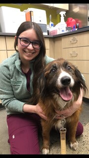 Dr. Sophie Leone – Relief Veterinarian Dr. Sophie Leone – Relief Veterinarian